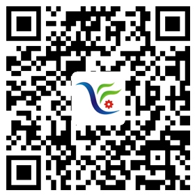 手機網(wǎng)站 手機網(wǎng)站